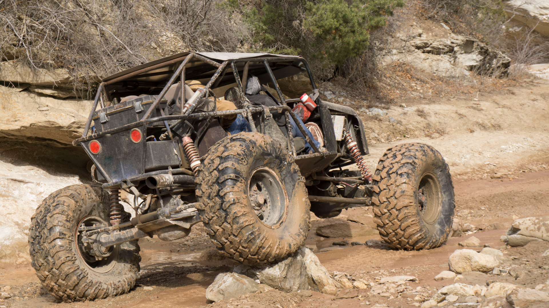 Buggy Ride